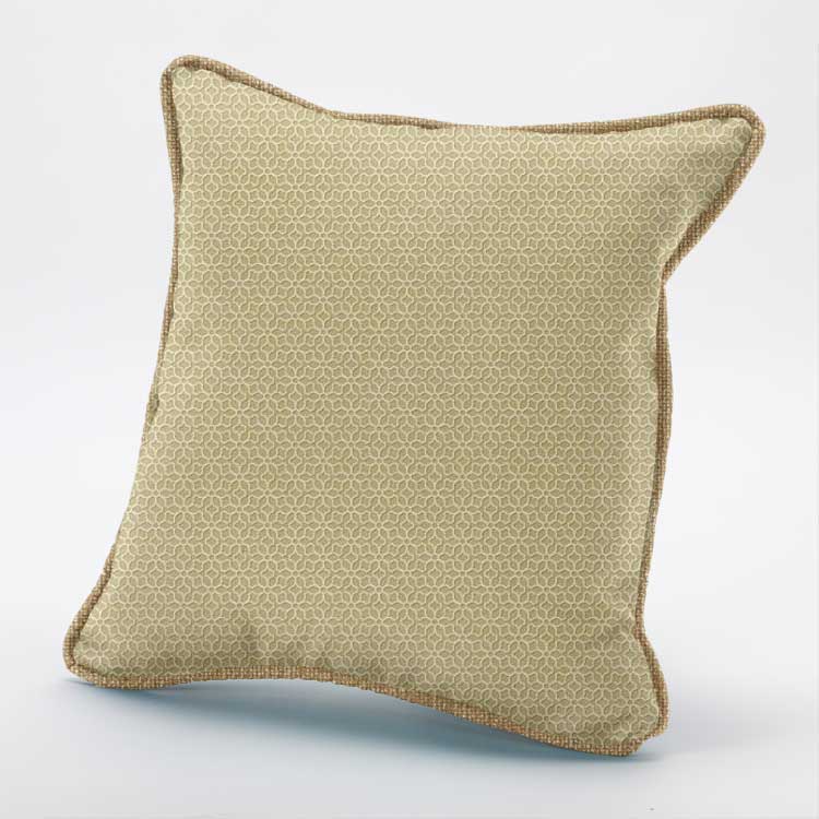 Cushion-1