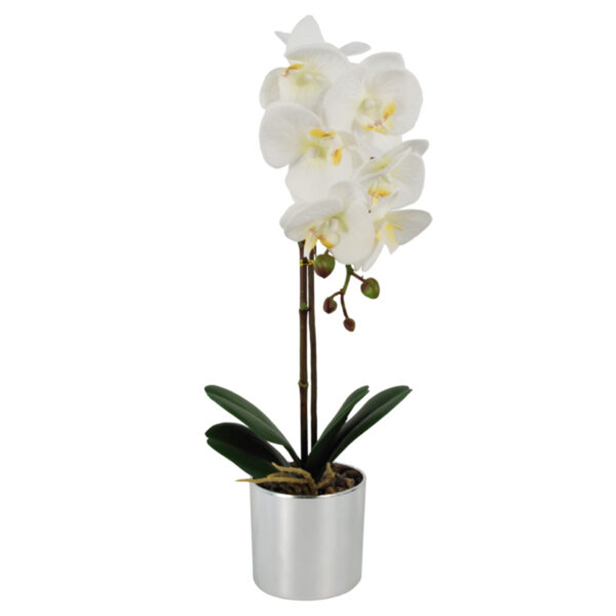 Real Feel Orchid Plant in Silver Pot