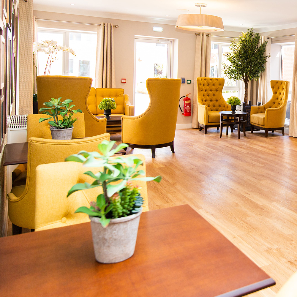 lifestyle image (10)